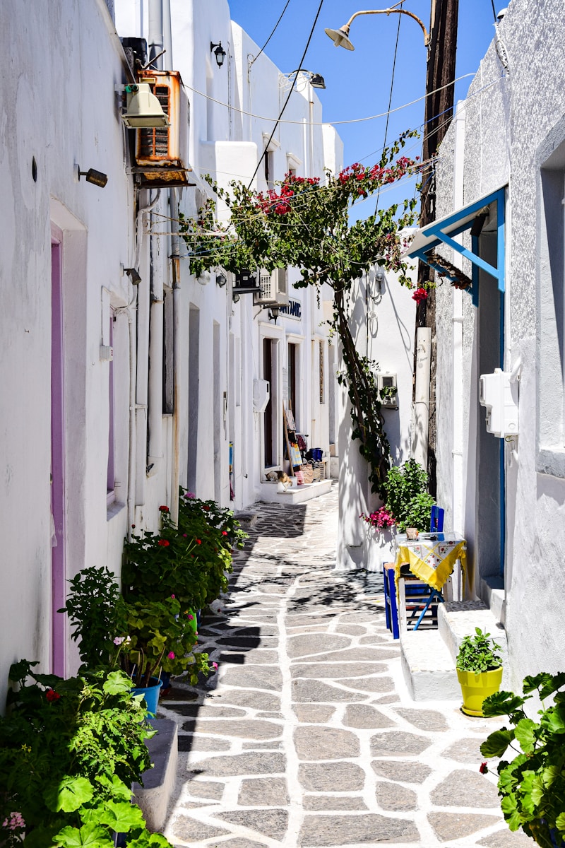 a narrow alleyway with potted plants on either side